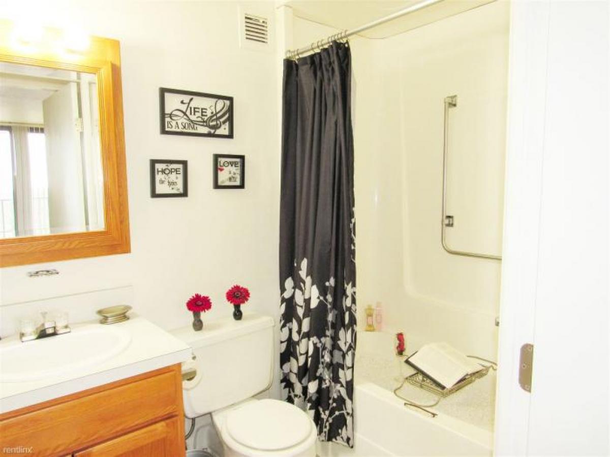 Picture of Apartment For Rent in Dayton, Ohio, United States