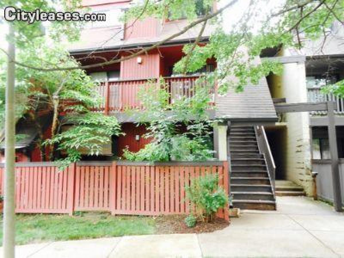 Picture of Home For Rent in Fairfax, Virginia, United States