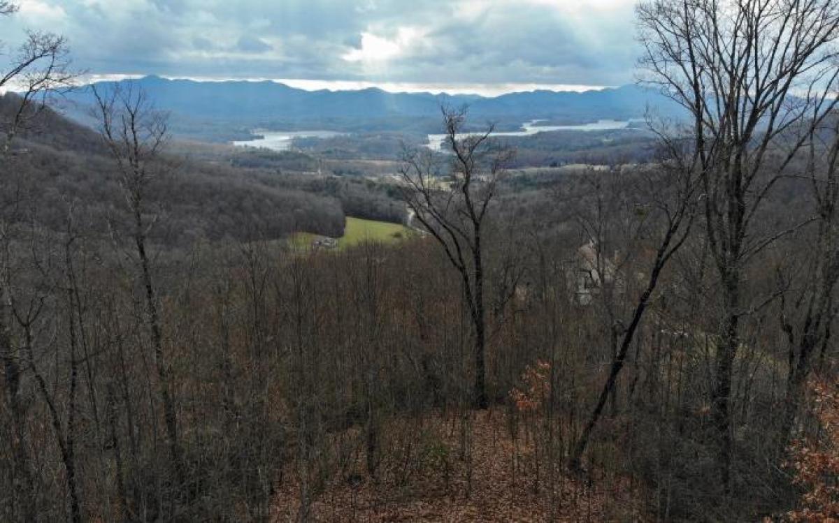 Picture of Residential Land For Sale in Hayesville, North Carolina, United States