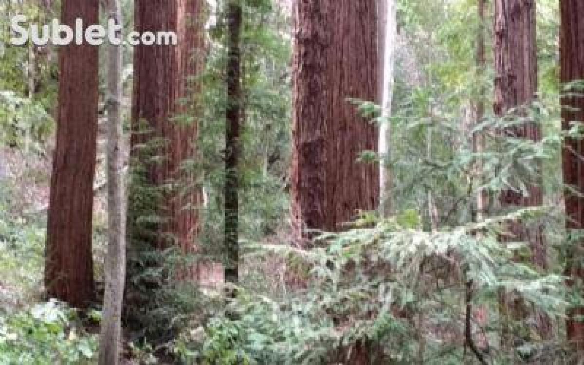 Picture of Apartment For Rent in Santa Cruz, California, United States