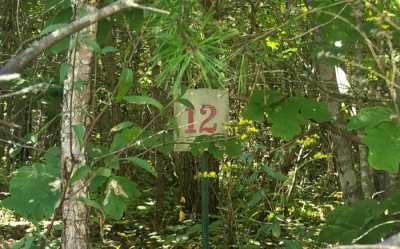 Residential Land For Sale in Young Harris, Georgia