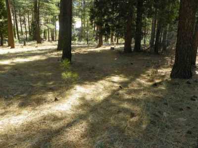 Residential Land For Sale in Portola, California