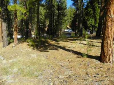 Residential Land For Sale in Portola, California