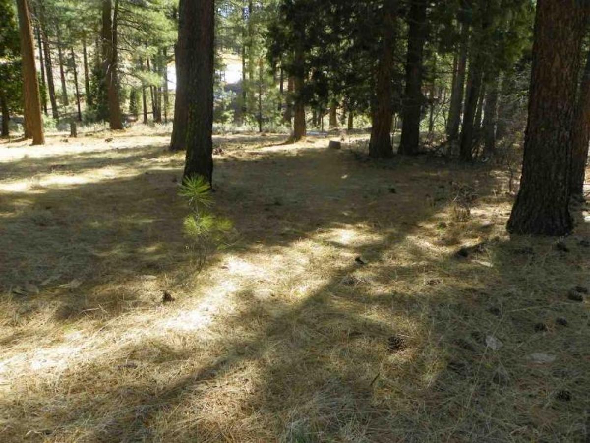 Picture of Residential Land For Sale in Portola, California, United States