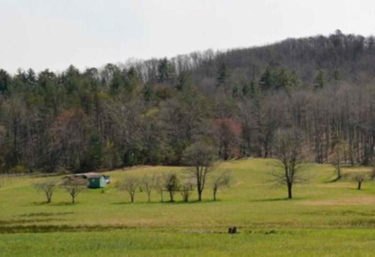 Picture of Residential Land For Sale in Hiawassee, Georgia, United States