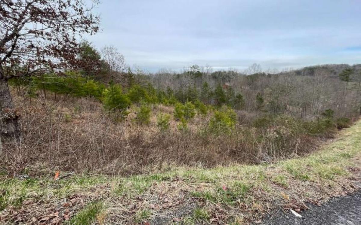 Picture of Residential Land For Sale in Young Harris, Georgia, United States