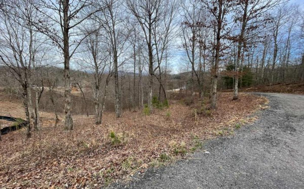 Picture of Residential Land For Sale in Young Harris, Georgia, United States