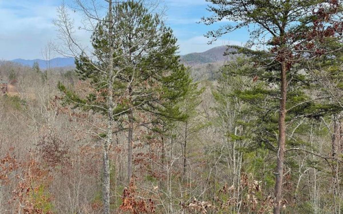 Picture of Residential Land For Sale in Young Harris, Georgia, United States