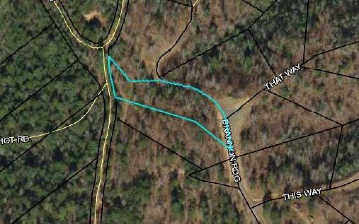 Picture of Residential Land For Sale in Young Harris, Georgia, United States