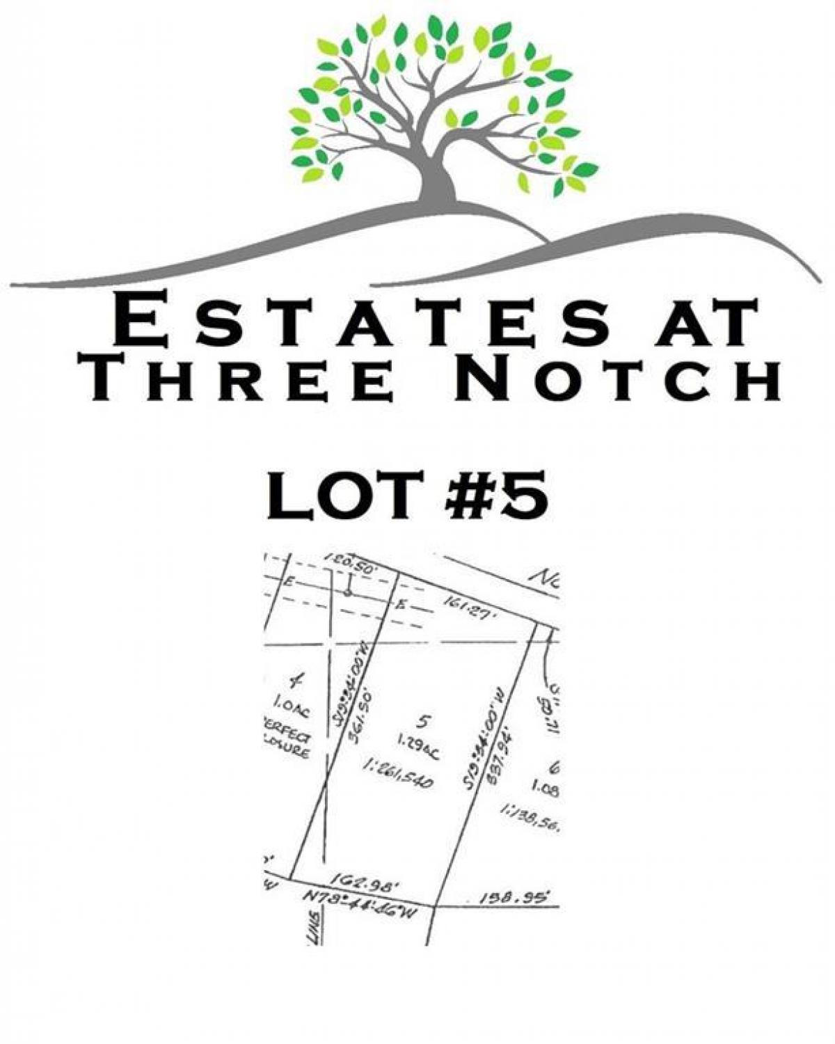 Picture of Residential Land For Sale in Ringgold, Georgia, United States