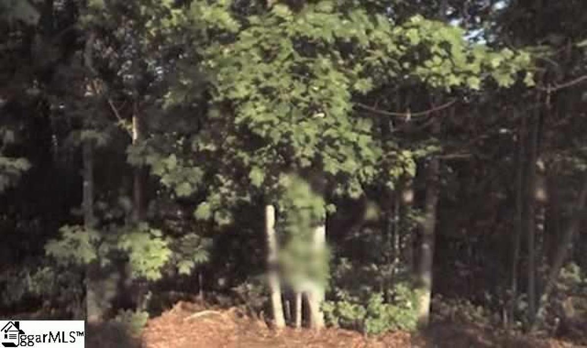 Picture of Residential Land For Sale in Easley, South Carolina, United States