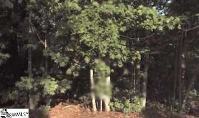 Residential Land For Sale in Easley, South Carolina