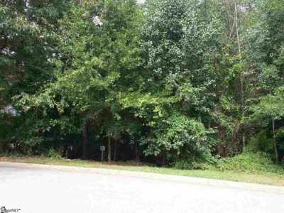 Residential Land For Sale in Easley, South Carolina