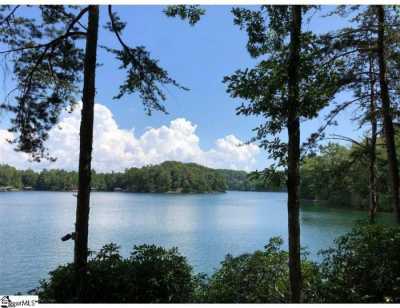 Residential Land For Sale in Mount Croghan, South Carolina