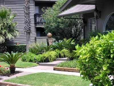 Residential Land For Rent in Galveston, Texas