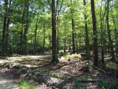 Home For Sale in Franklin, West Virginia