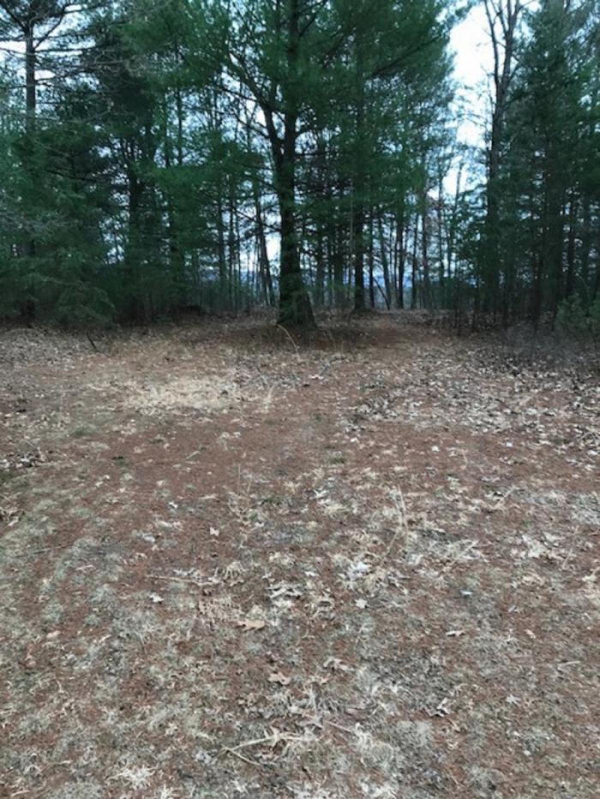 Picture of Home For Sale in Brandywine, West Virginia, United States