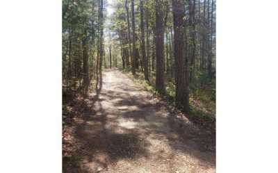 Residential Land For Sale in Mineral Bluff, Georgia