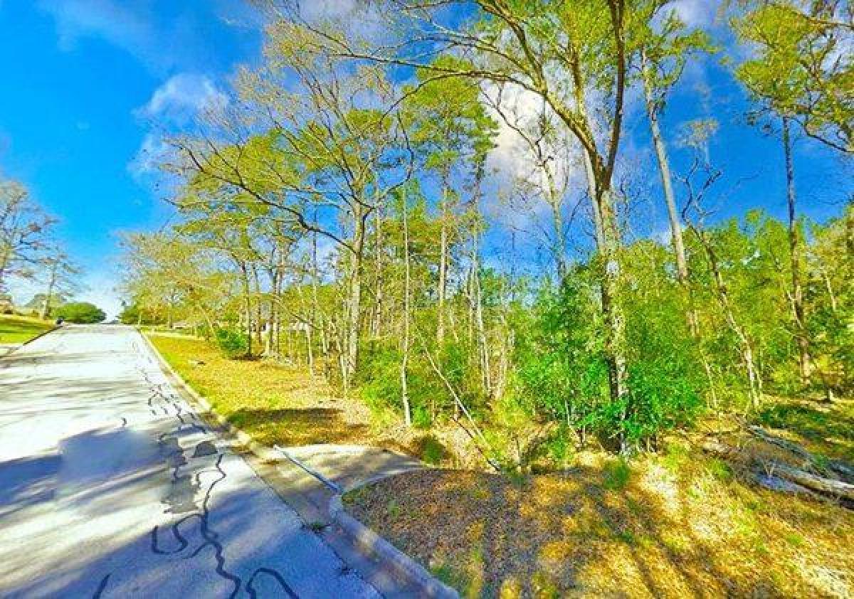 Picture of Home For Sale in Huntsville, Texas, United States