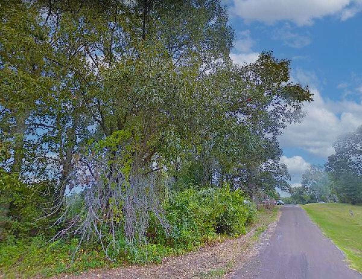 Picture of Residential Land For Sale in Mabank, Texas, United States