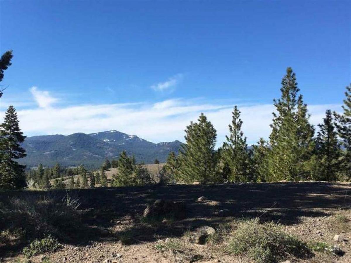 Picture of Residential Land For Sale in Portola, California, United States