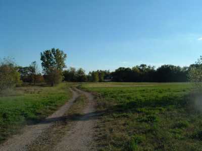 Residential Land For Sale in 