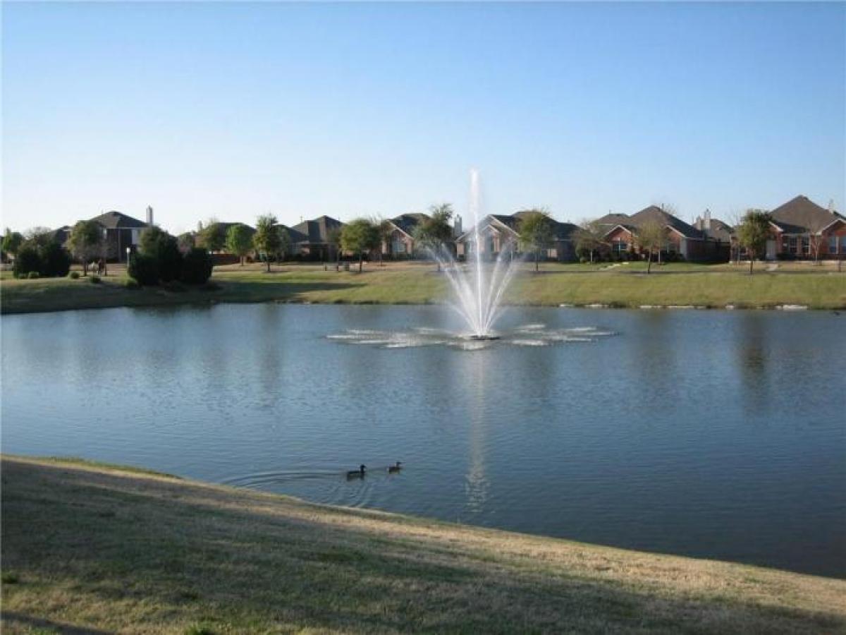 Picture of Home For Rent in Allen, Texas, United States