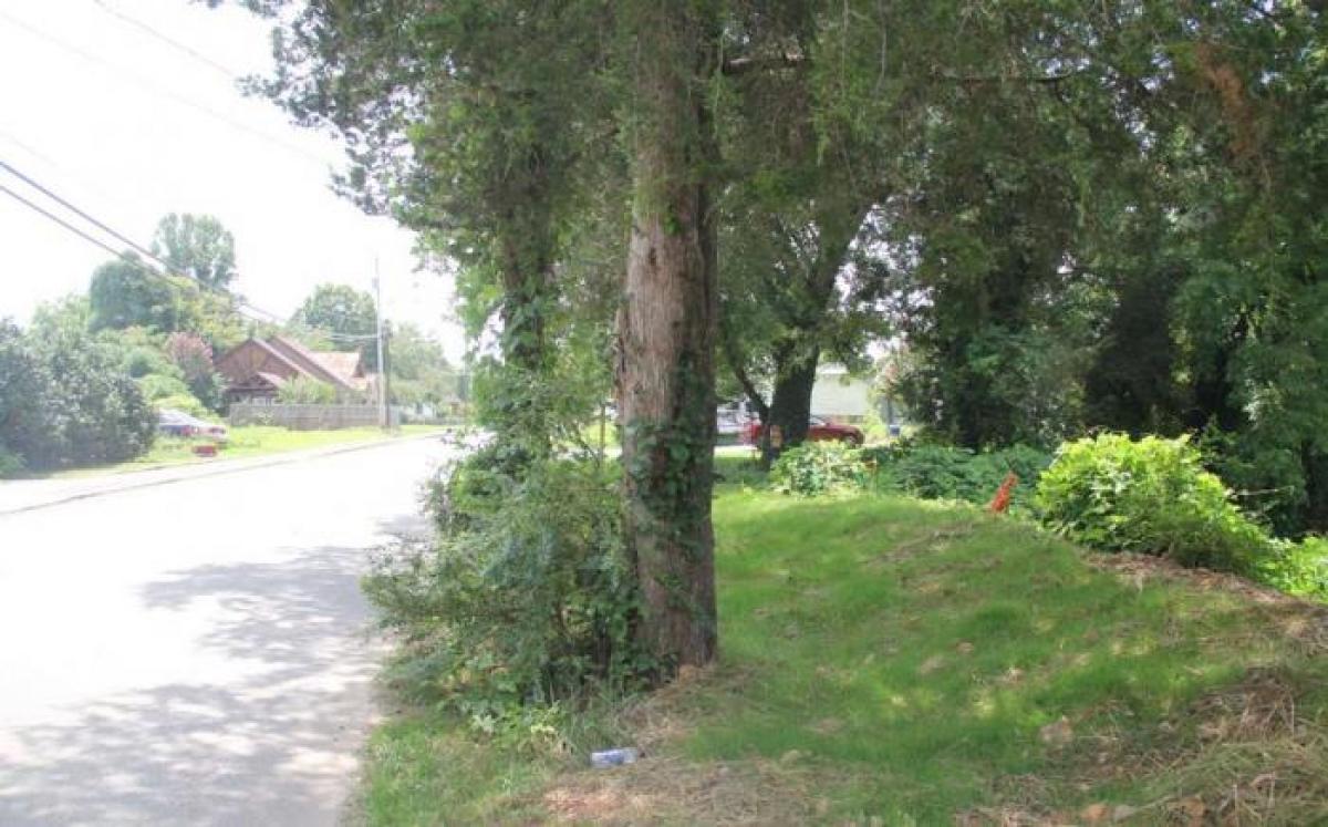 Picture of Residential Land For Sale in Blue Ridge, Georgia, United States