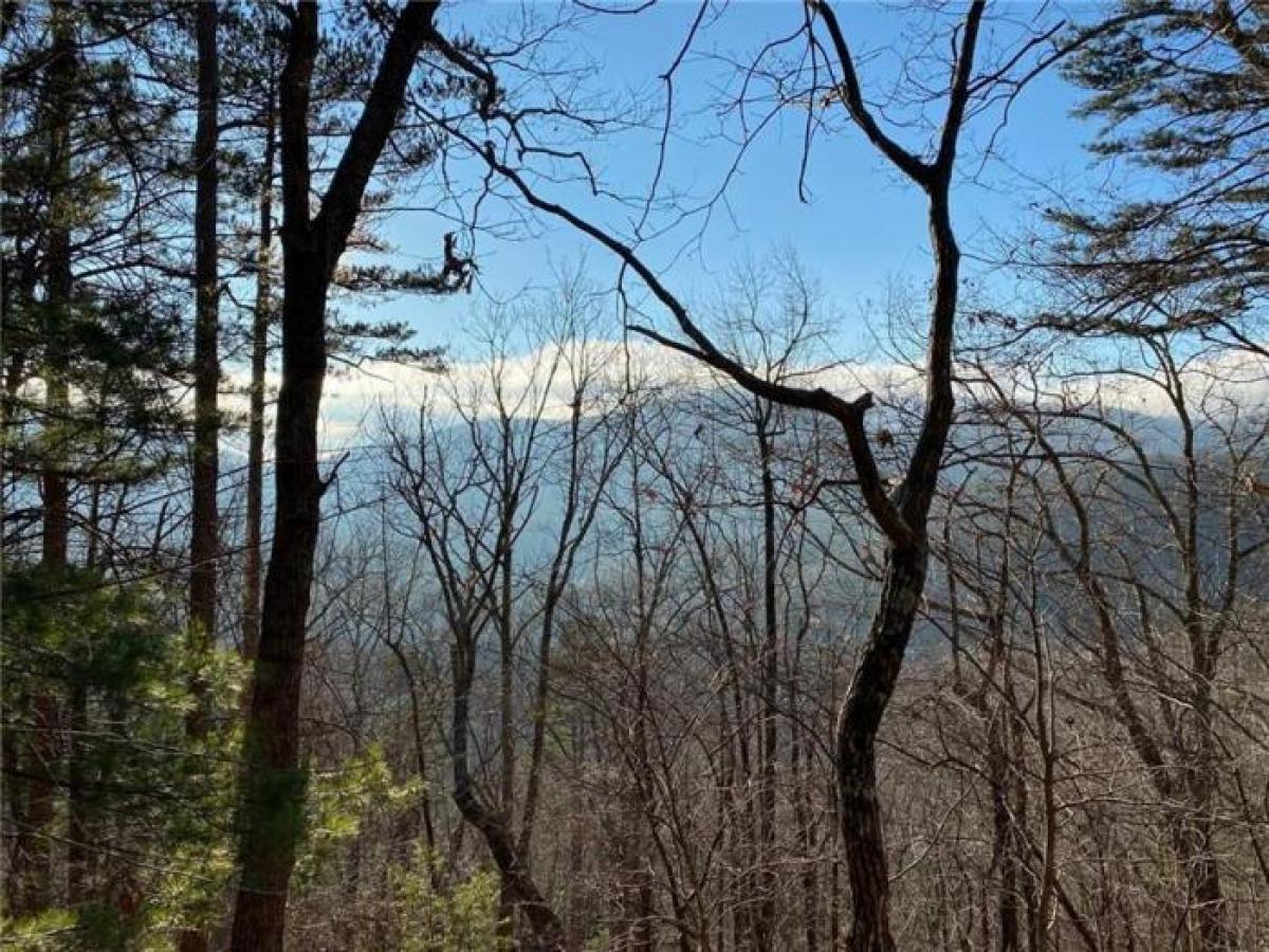 Picture of Home For Sale in Big Canoe, Georgia, United States