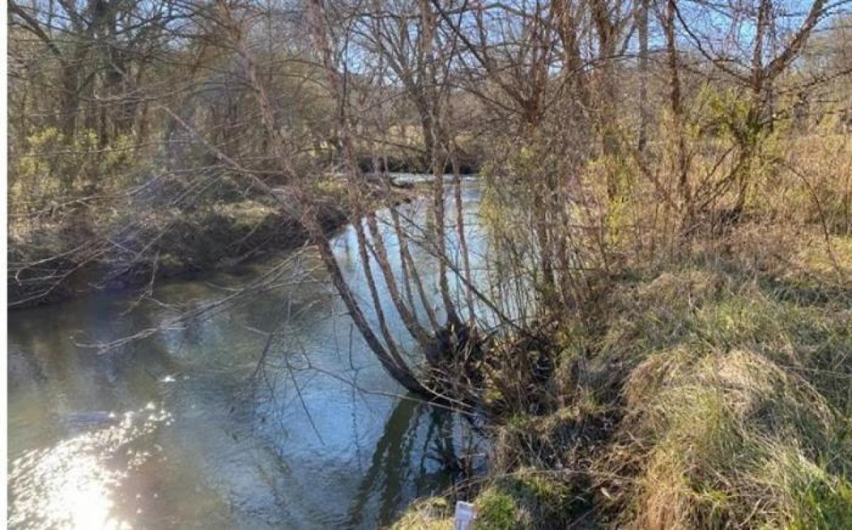 Picture of Residential Land For Sale in Morganton, Georgia, United States