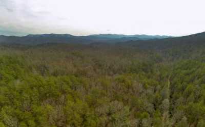 Residential Land For Sale in Blue Ridge, Georgia