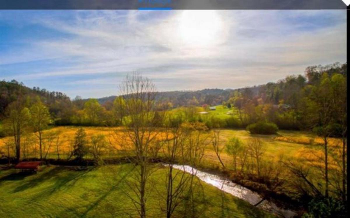 Picture of Residential Land For Sale in Mineral Bluff, Georgia, United States