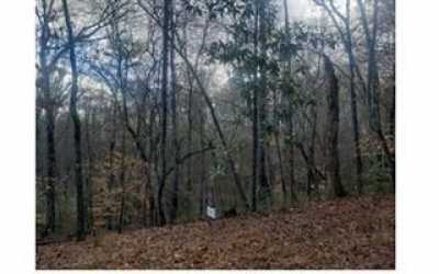 Residential Land For Sale in Blue Ridge, Georgia