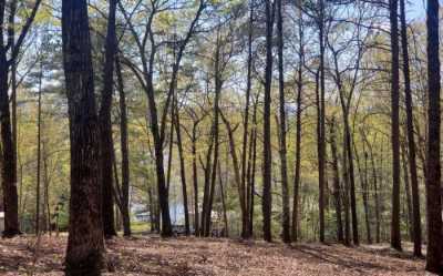 Residential Land For Sale in Morganton, Georgia