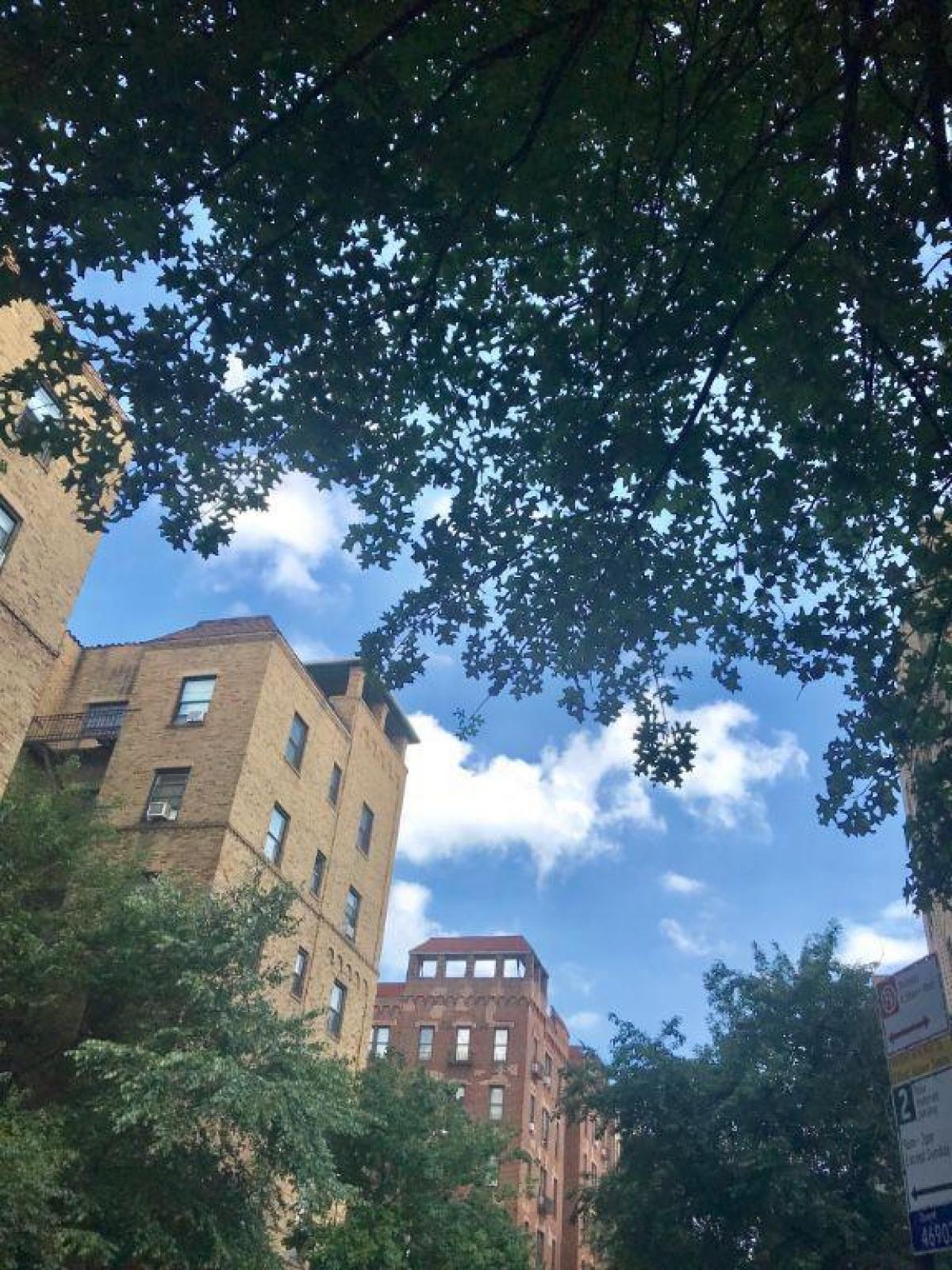 Picture of Apartment For Rent in Jackson Heights, New York, United States