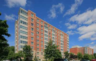 Apartment For Rent in Burlington, Massachusetts