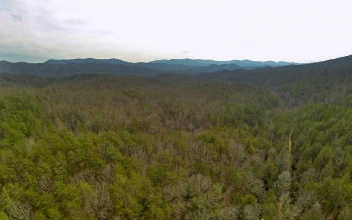 Picture of Residential Land For Sale in Blue Ridge, Georgia, United States