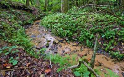 Residential Land For Sale in Tallulah Falls, Georgia