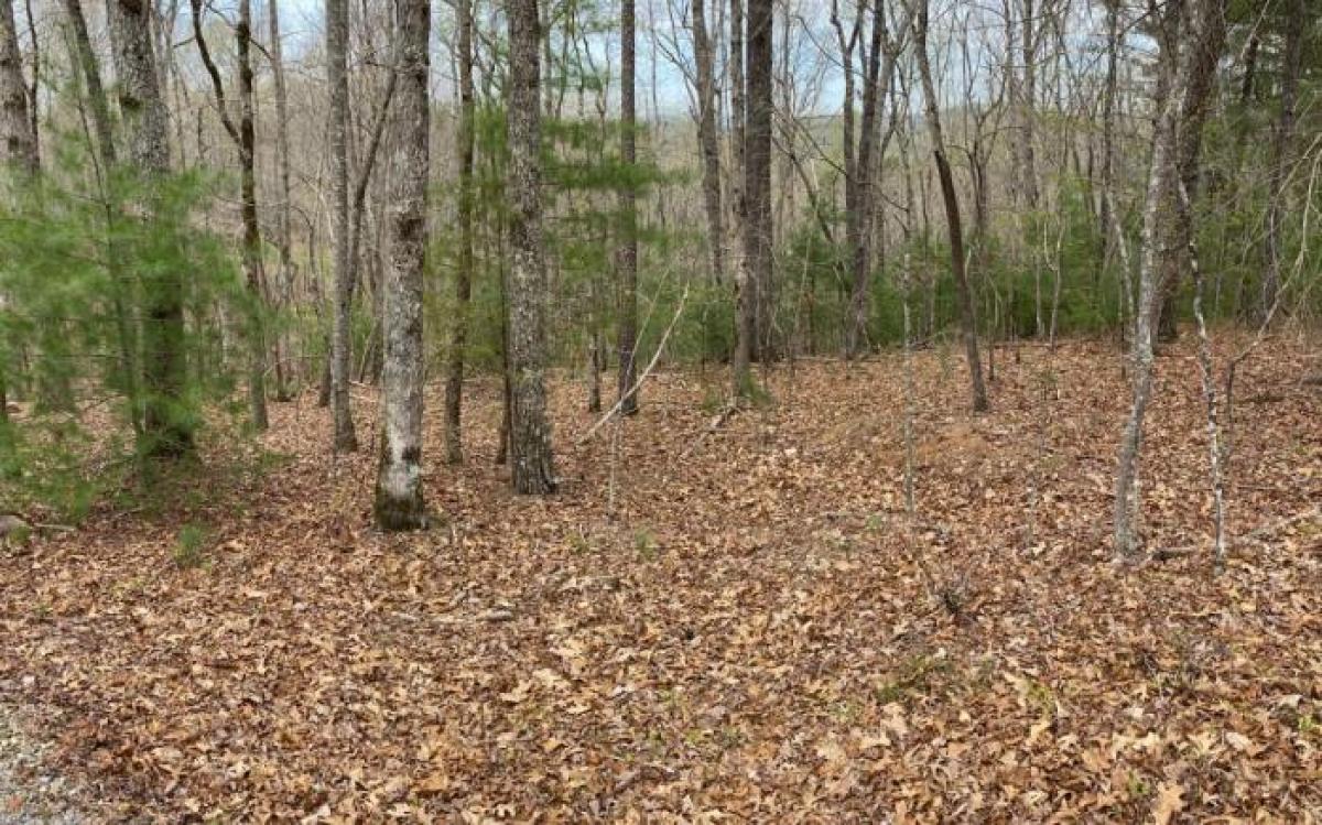 Picture of Residential Land For Sale in Morganton, Georgia, United States