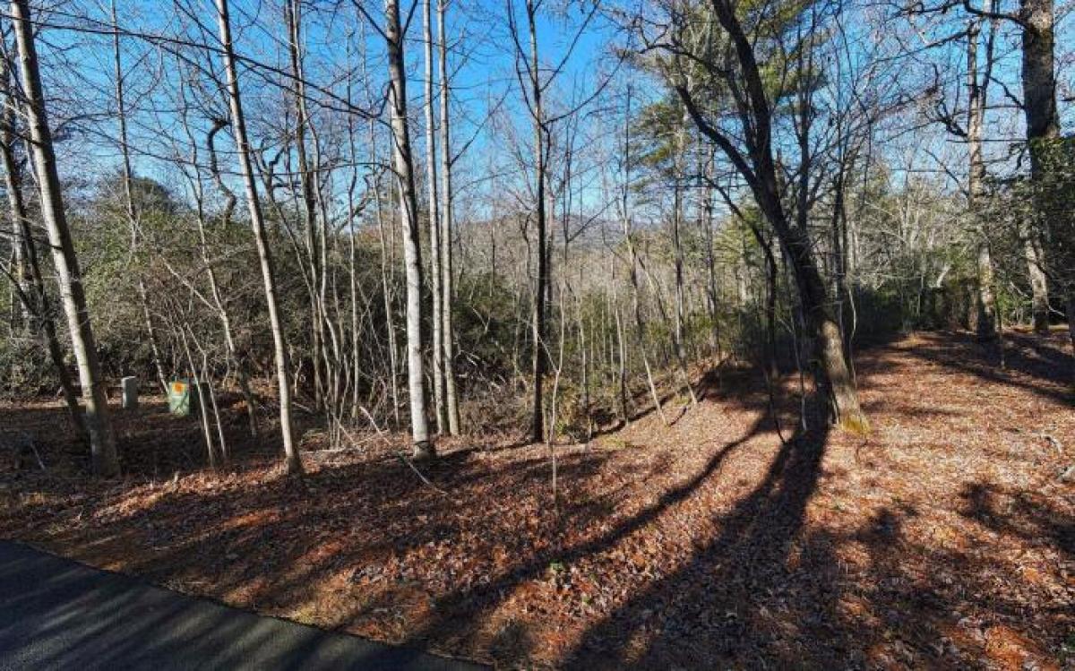 Picture of Residential Land For Sale in Hayesville, North Carolina, United States