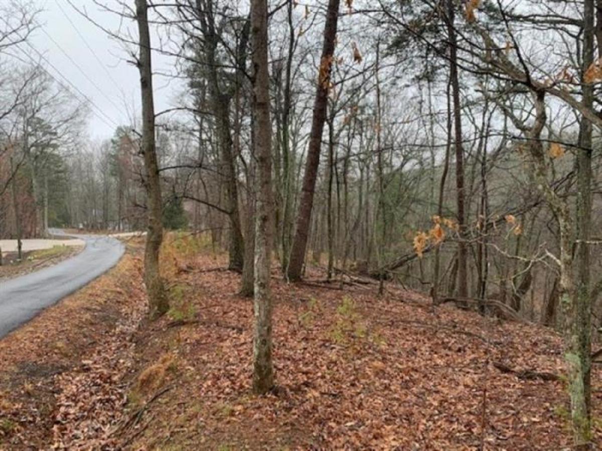 Picture of Residential Land For Sale in Jasper, Georgia, United States