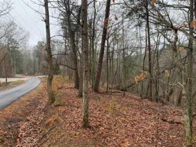 Residential Land For Sale in Jasper, Georgia