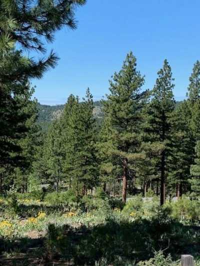 Residential Land For Sale in Portola, California