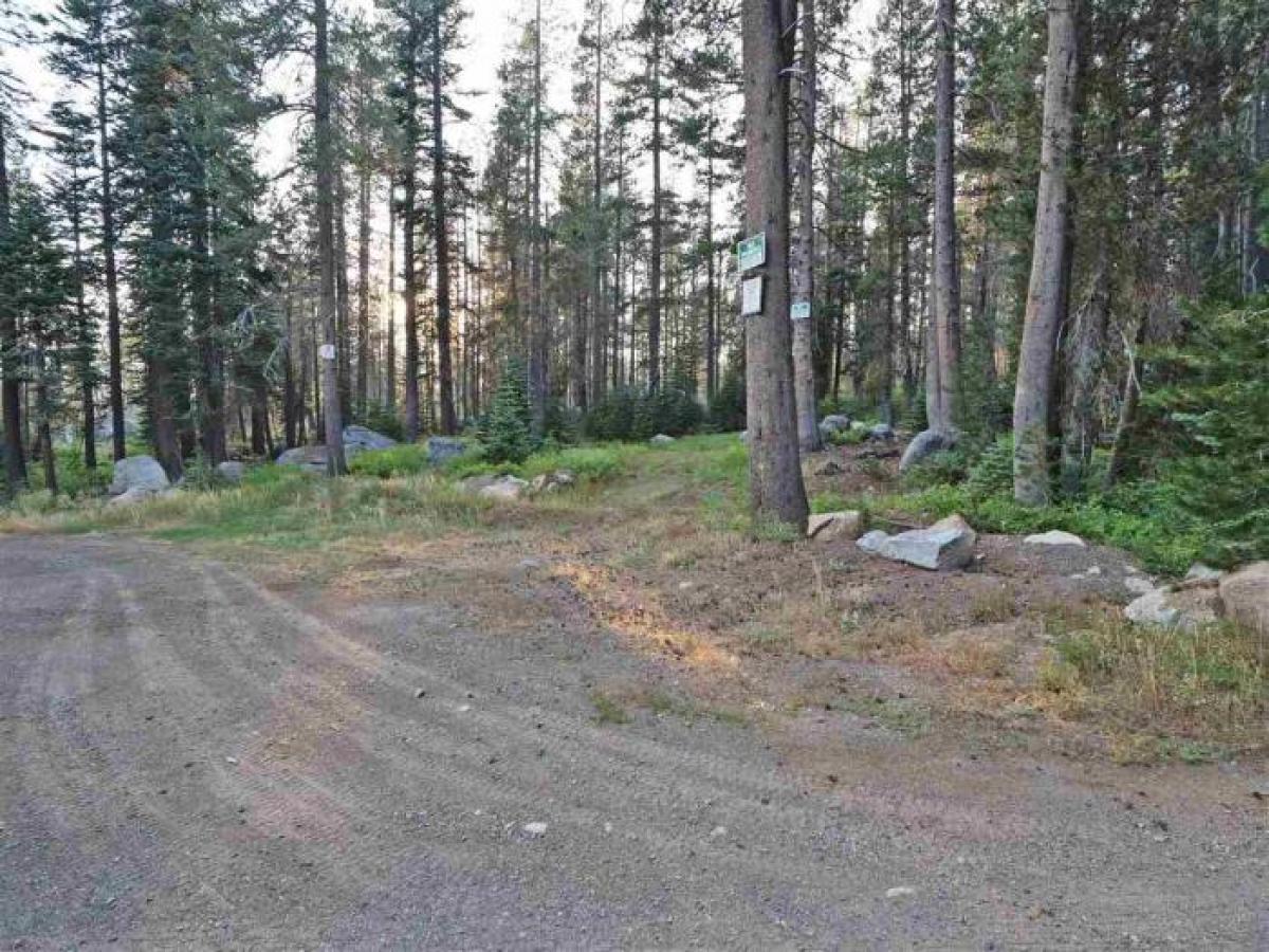 Picture of Residential Land For Sale in Soda Springs, California, United States
