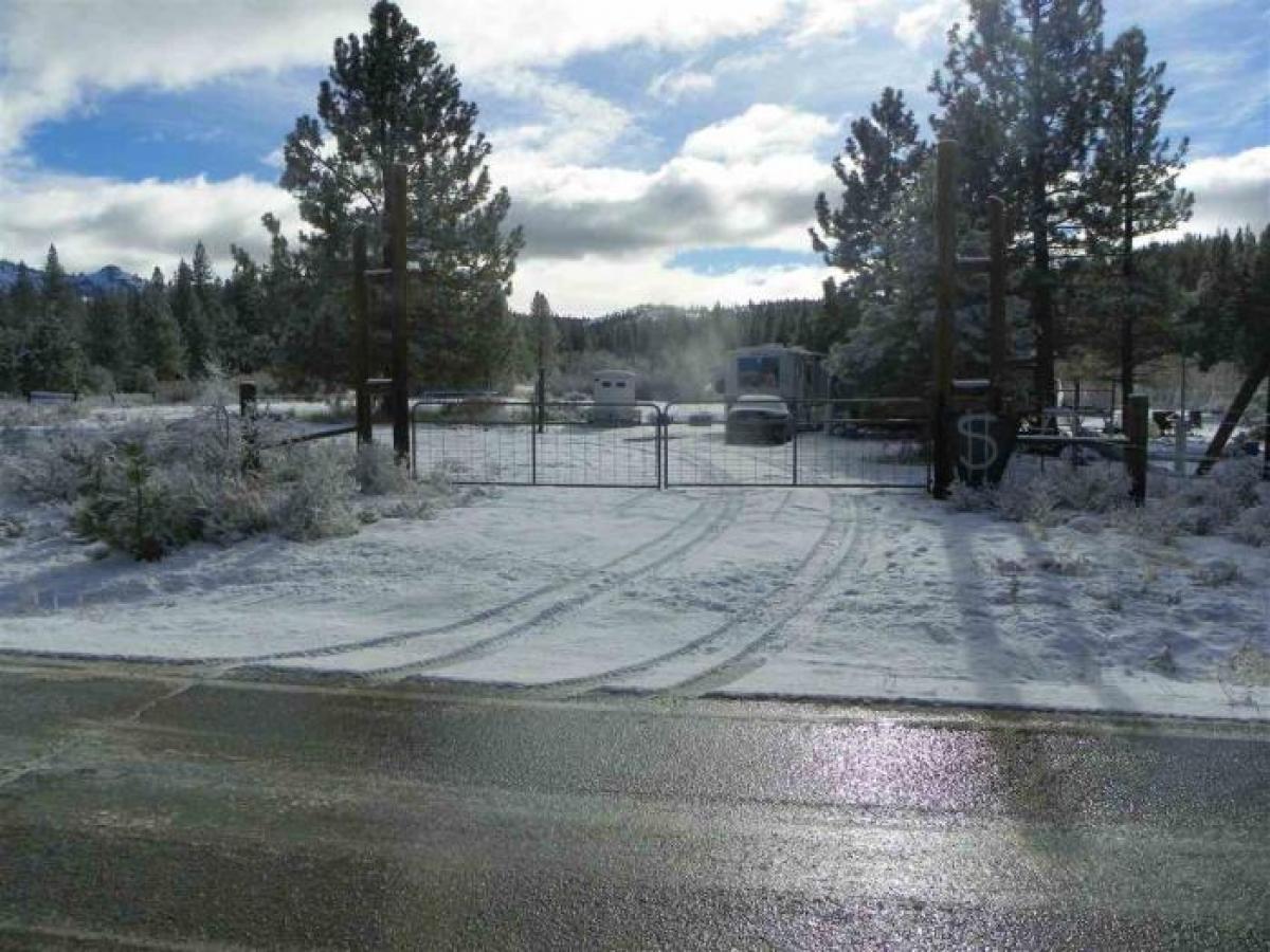 Picture of Residential Land For Sale in Portola, California, United States