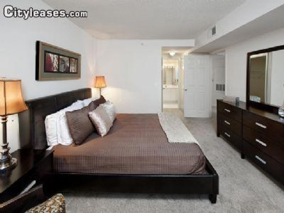 Picture of Apartment For Rent in Arlington, Virginia, United States