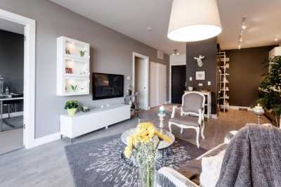 Apartment For Rent in 