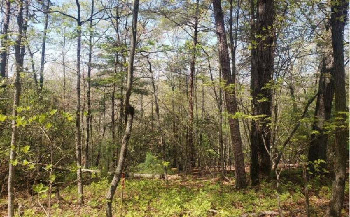 Picture of Residential Land For Sale in Mineral Bluff, Georgia, United States