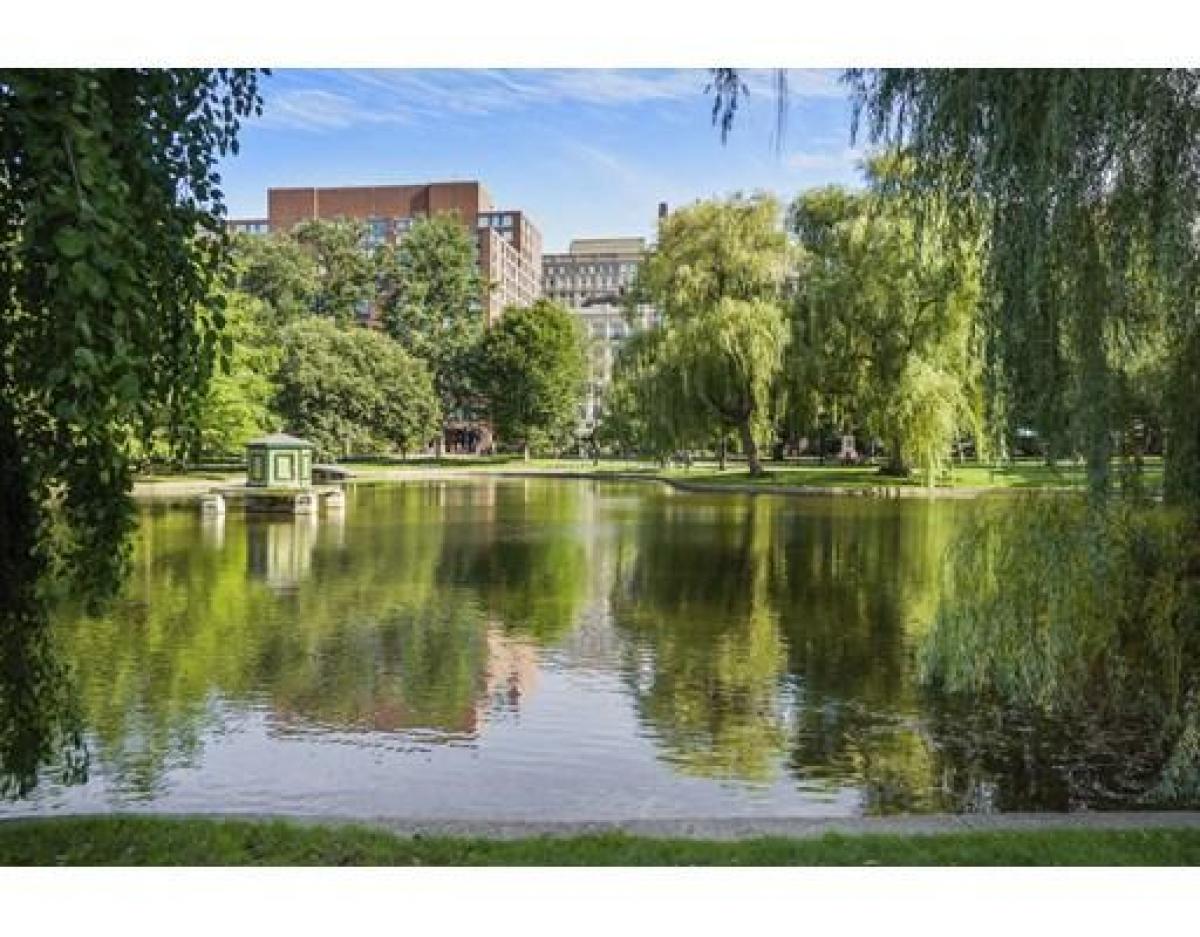 Picture of Condo For Sale in Boston, Massachusetts, United States