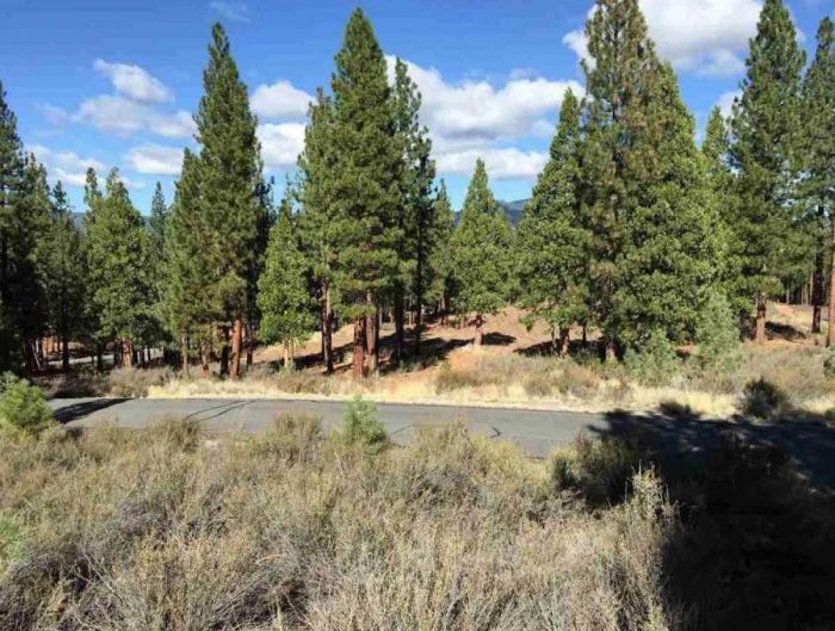 Picture of Residential Land For Sale in Portola, California, United States